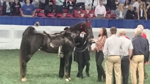 Arena «Freedom Hall», reviews and photos, 937 Phillips Ln, Louisville, KY 40209, USA