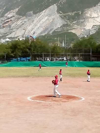 Liga Pequeña de Beisbol Del Valle