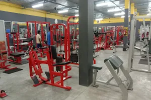 ARNOLD GYM image