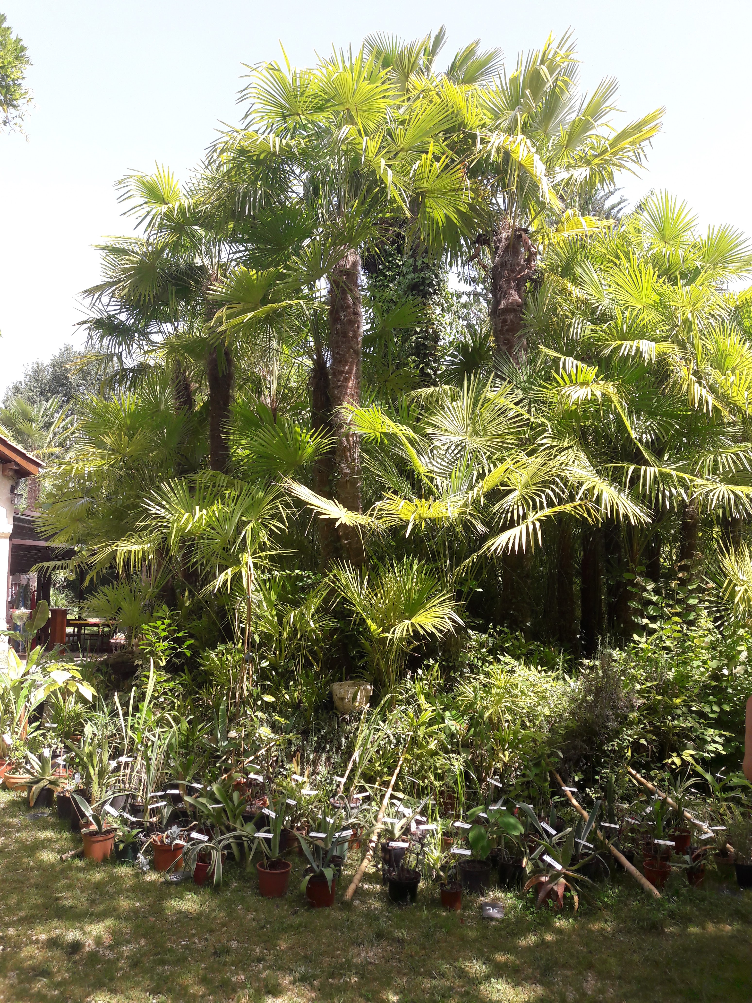Photo n° 4 de l'avis de Jean-pierre.i fait le 27/06/2019 à 08:13