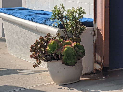 Grocery Store «Corner Store», reviews and photos, 1118 W 37th St, San Pedro, CA 90731, USA