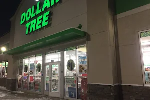 Dollar Tree image