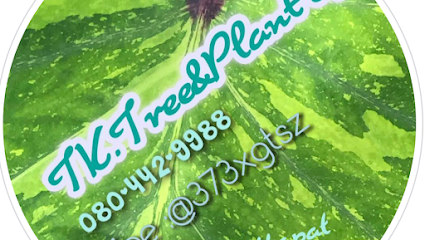 TK.Tree&Plant 89