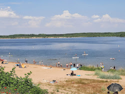 Photo de Badestrand Zwenkauer See avec un rivage droit