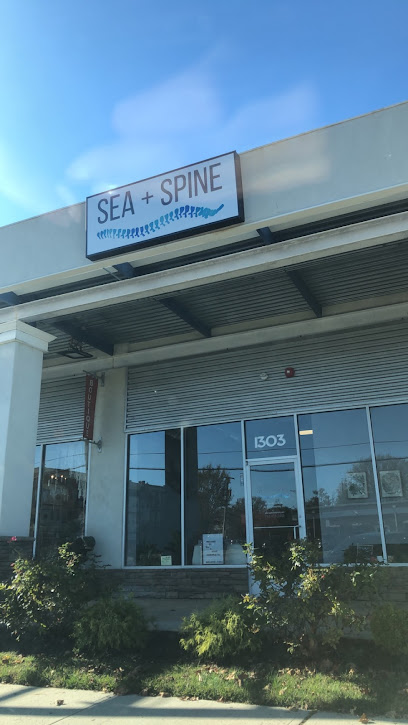 Sea + Spine Chiropractic
