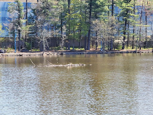 Zoo «Turtle Back Zoo», reviews and photos, 560 Northfield Ave, West Orange, NJ 07052, USA