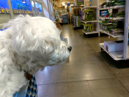 Pet Supply Store «PetSmart», reviews and photos, 12020 Cherry Hill Rd, Silver Spring, MD 20904, USA