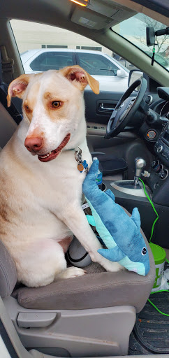 Pet Supply Store «Petco Animal Supplies», reviews and photos, 200 Center Blvd S, Christiana, DE 19702, USA