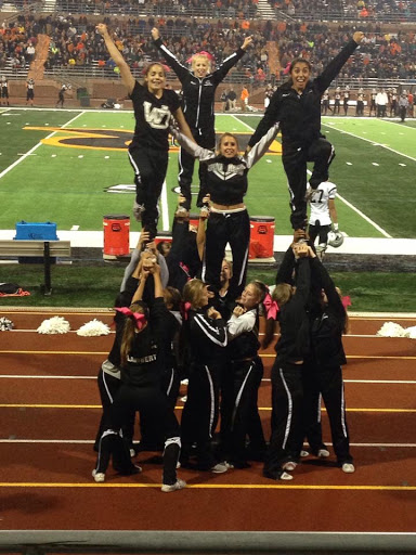 Pet Supply Store «Decadent Dogs», reviews and photos, 206 S River Ave, Holland, MI 49423, USA