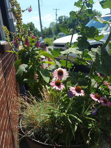 Ice Cream Shop «Owowcow Creamery», reviews and photos, 4105 Durham Rd, Ottsville, PA 18942, USA