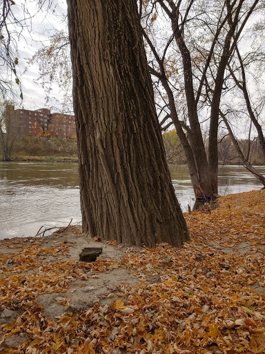 Country Club «Bearpath Golf & Country Club», reviews and photos, 18100 Bearpath Trail, Eden Prairie, MN 55347, USA