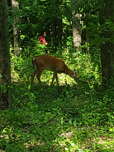 Park «Fairland Regional Park», reviews and photos, 13950 Old Gunpowder Rd, Laurel, MD 20707, USA