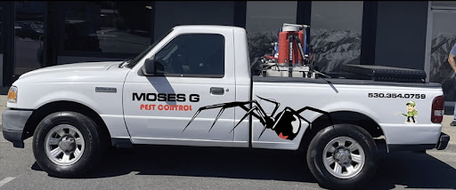 Moses Gaitan pest control image