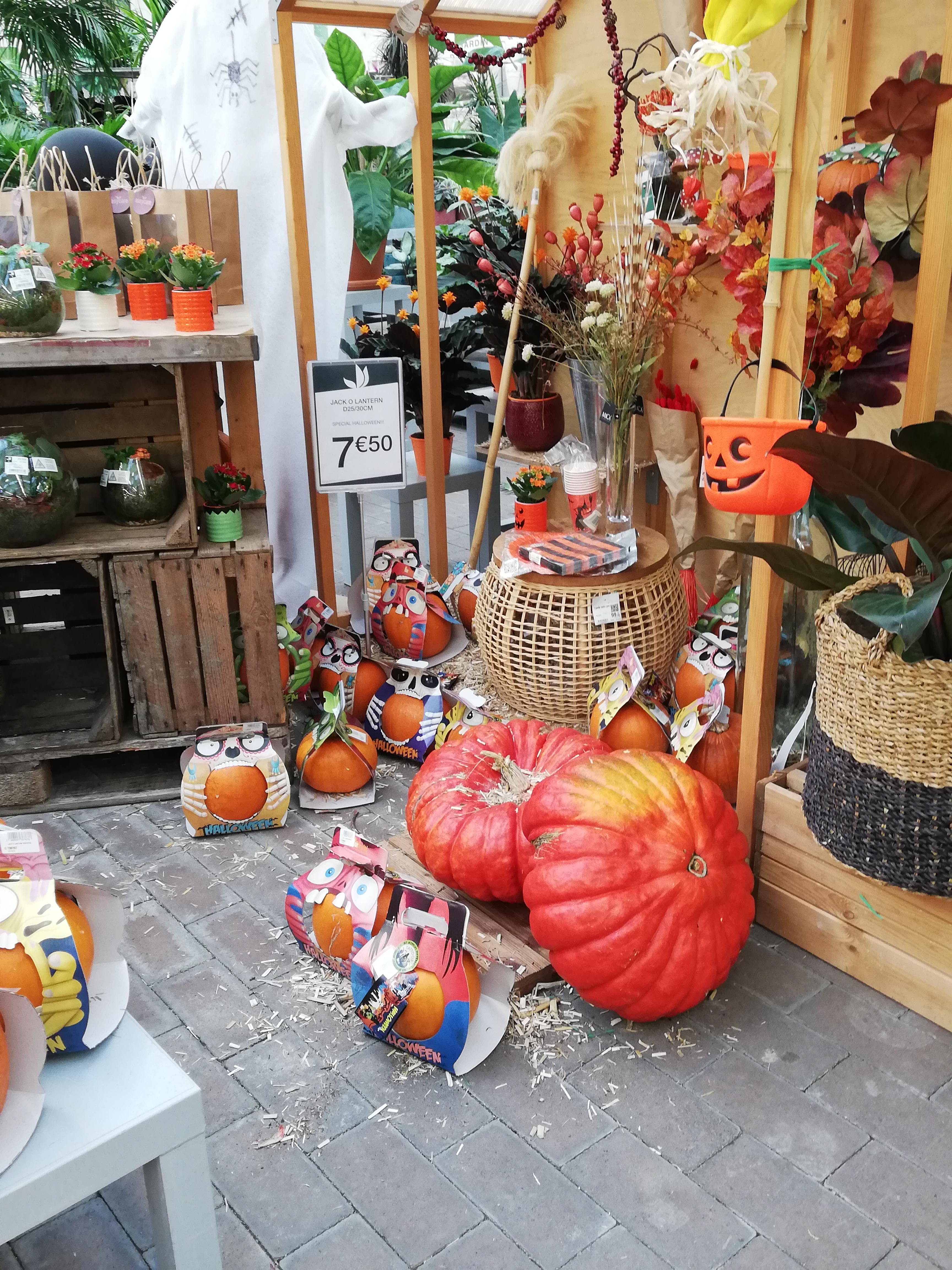 Photo n° 2 de l'avis de Rouba.m fait le 23/10/2019 à 18:32