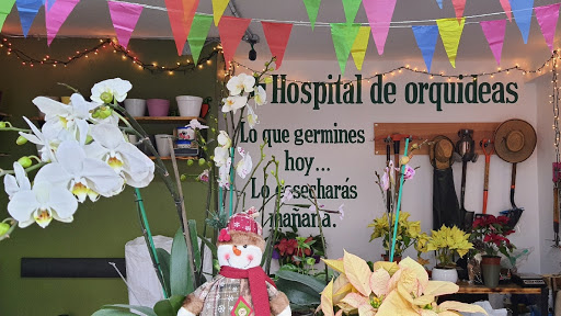 Hospital de Orquídeas Narvarte