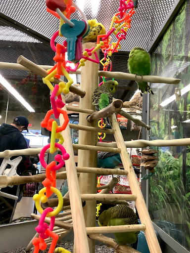 Pet Supply Store «Petco Animal Supplies», reviews and photos, 4913 Main St, Spring Hill, TN 37174, USA