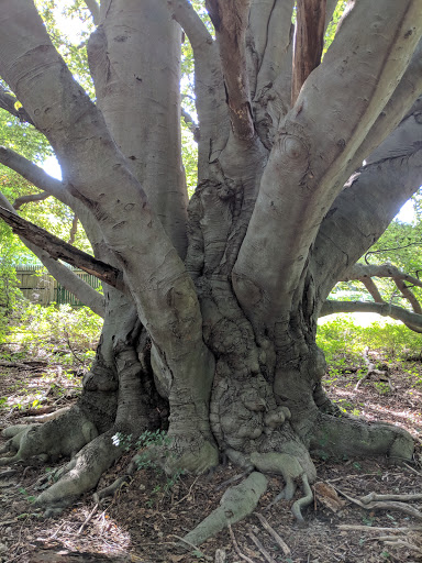 Vineyard «Diamond Hill Vineyards», reviews and photos, 3145 Diamond Hill Rd, Cumberland, RI 02864, USA