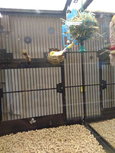 Pet Supply Store «PetSmart», reviews and photos, 5050 SE 14th St, Des Moines, IA 50320, USA