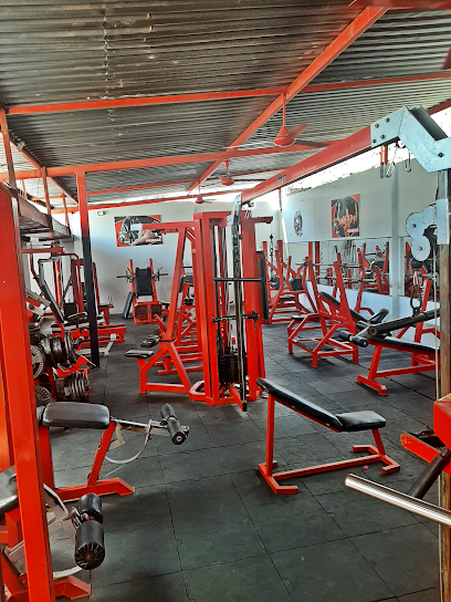 BERNA GYM