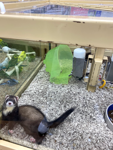 Pet Supply Store «Pet Supermarket», reviews and photos, 4500 N State Rd 7, Pompano Beach, FL 33073, USA
