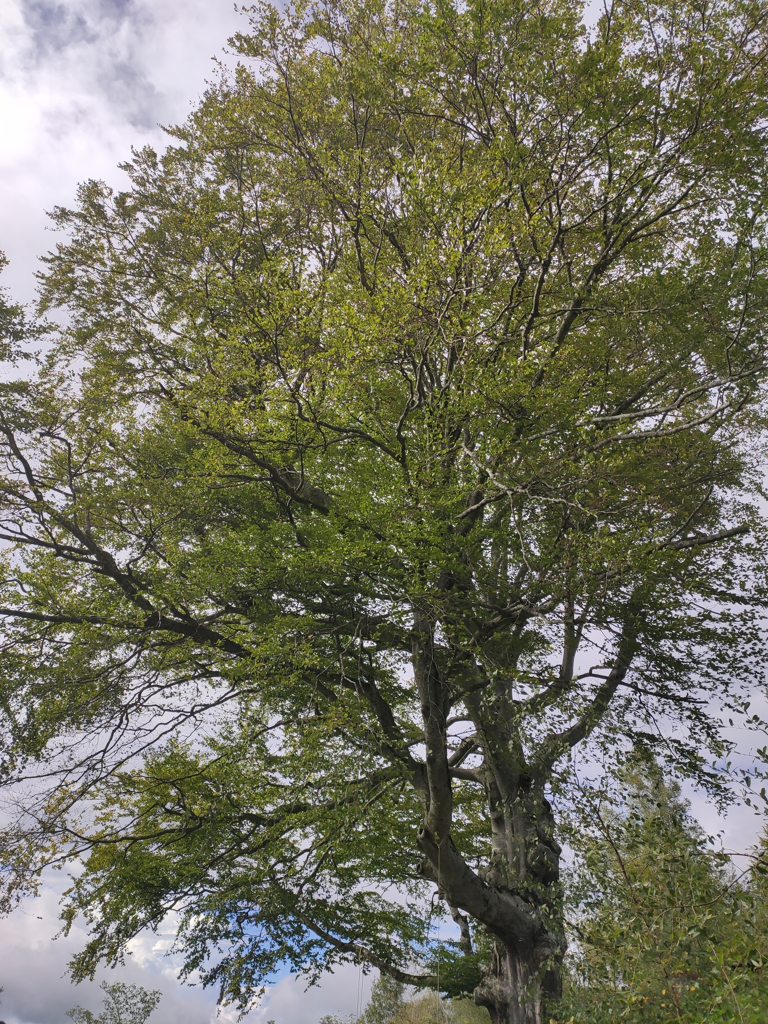 Photo n° 3 de l'avis de Thibaut.a fait le 16/09/2020 à 13:02