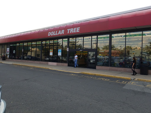 Dollar Store «Dollar Tree», reviews and photos, 24 Portland Ave, Bergenfield, NJ 07621, USA