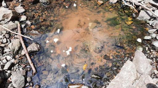 Park «Ben Lomond Regional Park», reviews and photos, 7500 Ben Lomond Park Rd, Manassas, VA 20109, USA