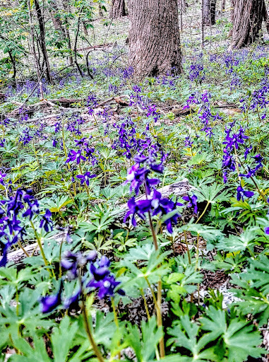 Produce Market «Christopher Farms», reviews and photos, 2266 Crymes Cove Rd, Waynesville, NC 28786, USA