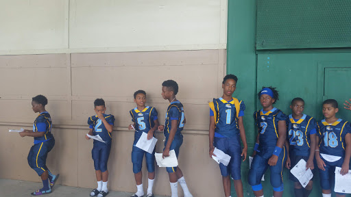 Stadium «Memorial Stadium», reviews and photos, N 17th St, Baton Rouge, LA 70802, USA