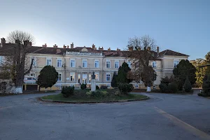 Municipal Hospital "Dr. Gheorghe Marinescu" image