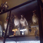 Photo n° 40 de l'avis de M..a fait le 12/05/2018 à 08:05 pour Musée de la Chasse et de la Nature à Paris