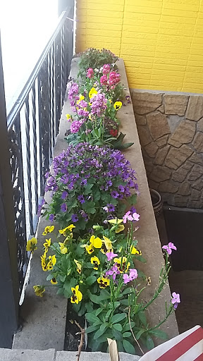 Spanish Restaurant «Spanish Pavillion», reviews and photos, 31 Harrison Ave, Harrison, NJ 07029, USA