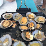 Photo n°1 de l'avis de David.i fait le 16/09/2018 à 15:20 sur le  Estrela do Mar à Vila Franca do Campo