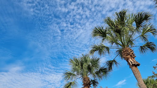 Department Store «Saks OFF 5TH», reviews and photos, 5709 Factory Shops Blvd, Ellenton, FL 34222, USA