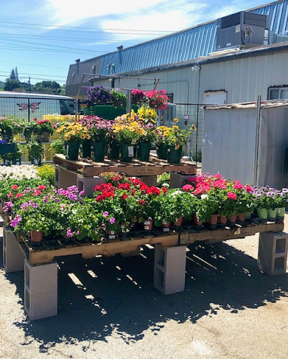 Hardware Store «Antioch Ace Hardware», reviews and photos, 501 Sunset Dr, Antioch, CA 94509, USA