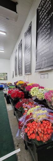 Florist «Sequoia Floral International», reviews and photos, 3245 Santa Rosa Ave, Santa Rosa, CA 95407, USA