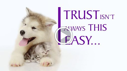 Jeweler «De Robertis Jewelers», reviews and photos, 52 LaSalle Rd, West Hartford, CT 06107, USA