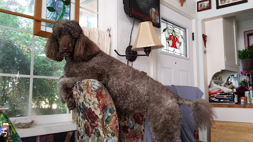 Hardware Store «Westmoreland Ace Hardware», reviews and photos, 6505 SE Milwaukie Ave, Portland, OR 97202, USA