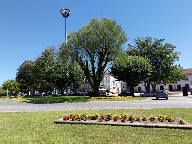 Avaliações doCâmara Municipal de Mangualde em Mangualde - Escola