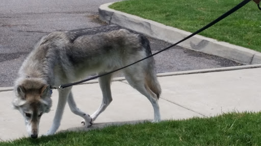 Pet Supply Store «Care-A-Lot Pet Supply Indian River», reviews and photos, 5457 Indian River Rd, Virginia Beach, VA 23464, USA