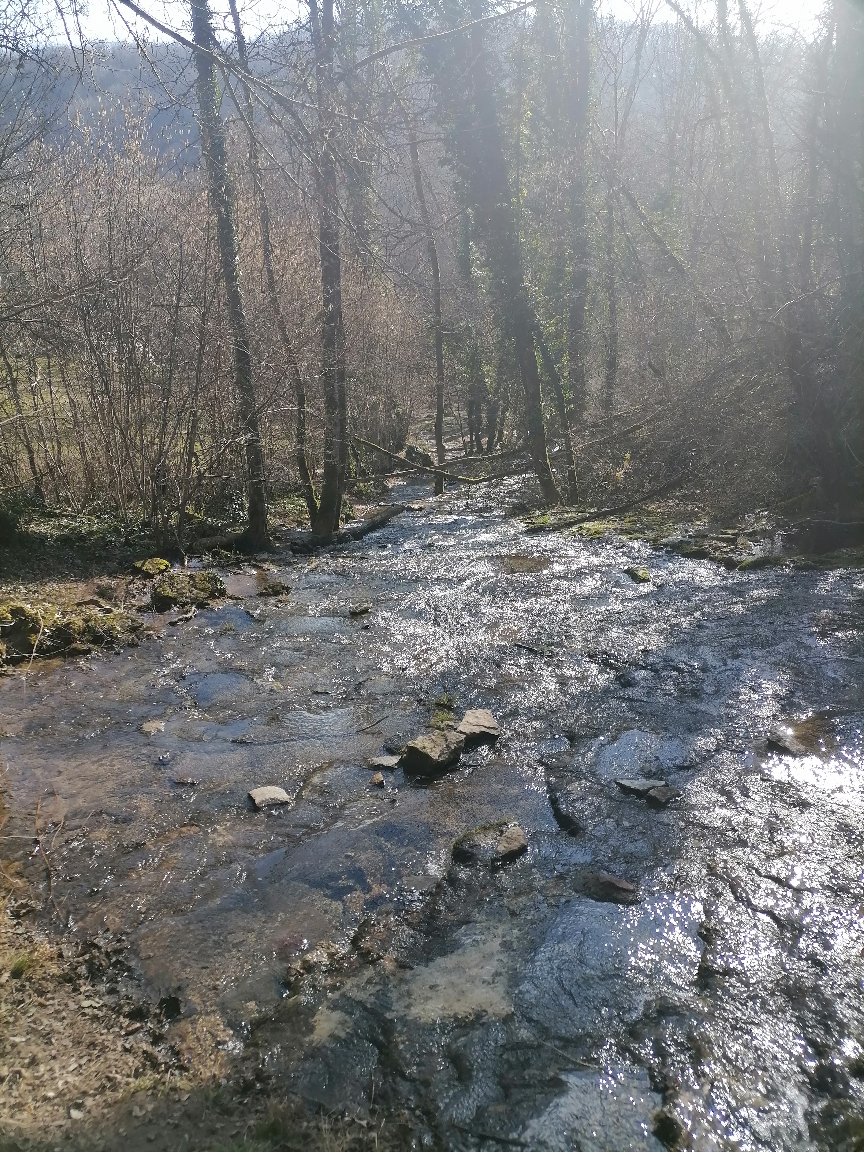 Photo n° 6 de l'avis de Aurélie.e fait le 27/02/2021 à 13:54