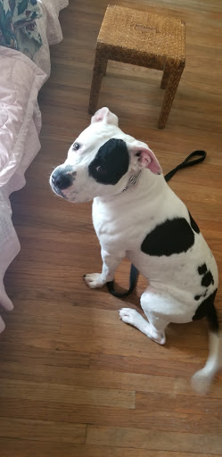 Pet Store «Pet Valu», reviews and photos, 604 Plaza Dr, Newark, DE 19702, USA