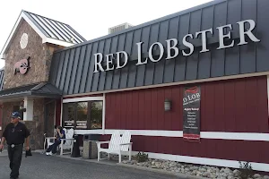 Red Lobster image