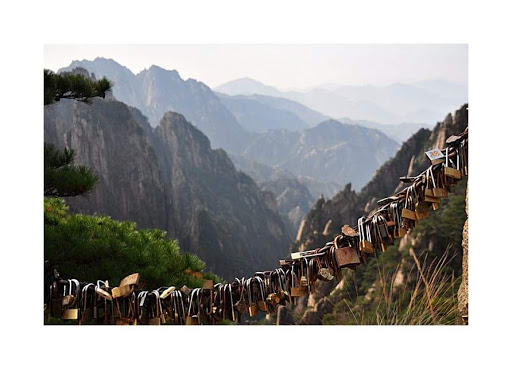 Florist «Fairview Park Florist», reviews and photos, 3141 Fairview Park Dr, Falls Church, VA 22042, USA