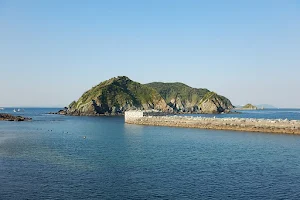 Toshijima Blue Field image