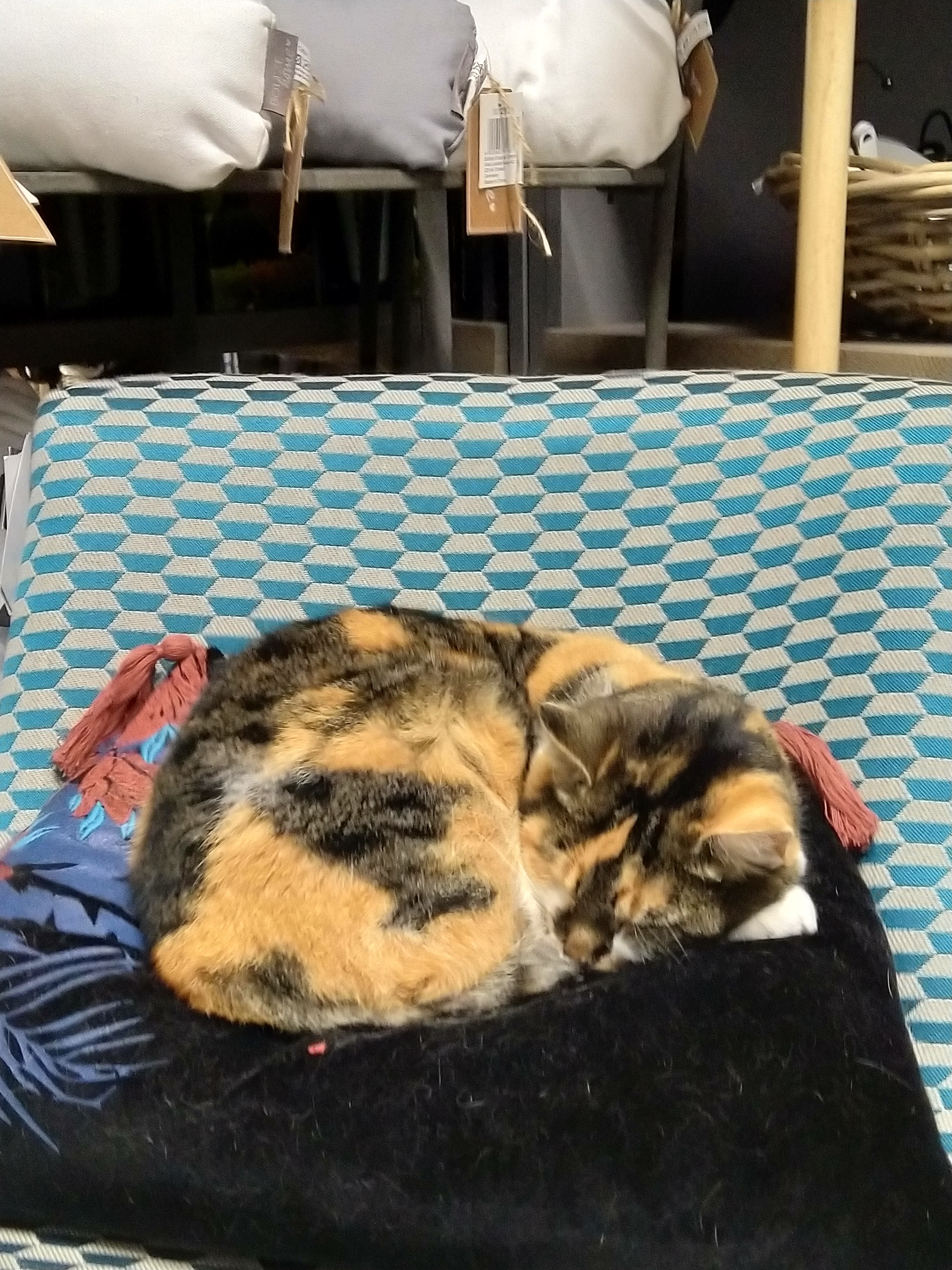 Photo n° 1 de l'avis de Joy. fait le 05/03/2019 à 16:08