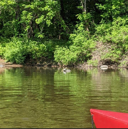 Ski Shop «Cabin Craft Snowboard & Ski Shop», reviews and photos, 2 Main St, Spring Mt, PA 19478, USA