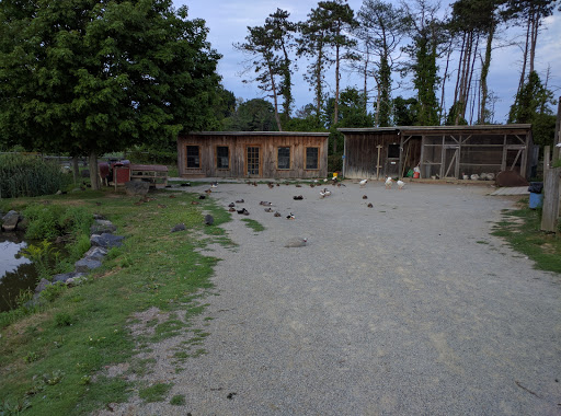 Farm «Russell Orchards», reviews and photos, 143 Argilla Rd, Ipswich, MA 01938, USA