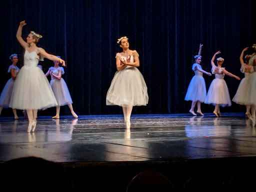 Performing Arts Theater «Jane Tasch Performing Arts Theatre», reviews and photos, 2100 E Michigan 36, Pinckney, MI 48169, USA