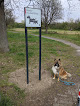 Parks gehören zu Hunden Hannover